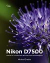 Spanische Ausgabe Nikon D7500